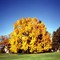 Colorful at Cheesman Park