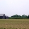 Michigan Agriculture