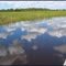 Reversed Sky (Everglades Airboat Ride)