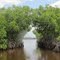 Everglades