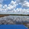 Everglades