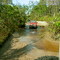 EJNF11202006