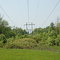 Power lines off Center Rd May 22 2007