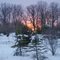Out our back window in the morning.