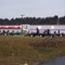Tractor Supply Co.