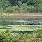 Sawmill Lake