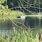 Truax Lake