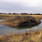 Country lake in Newport, Texas