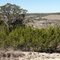 Balcones National Wildlife Refuge