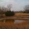 LBJ 59 3/19/2011 Pond