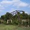 One more beautiful abandoned truss bridge