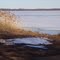 Gladstone shoreline