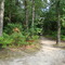 Trail to the camp
