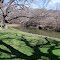 Harper Community Park, Harper, Texas