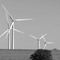 Reaping The Wind
