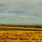 Near Muenster