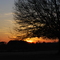 Setset near Quitman Texas
