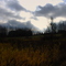 Northern Sun