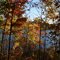Moose Lake Fall Colors at Echo Lake
