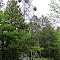Moose Lake Lookout Tower