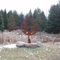 Moose Lake State Park, Moose Lake MN