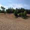 Sand Every Where In the Pits