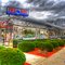 Plum Crazy Diner