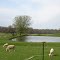 Uniontown Road Sheep Pasture
