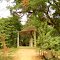 Romance in Kanpur Zoological Park, Kanpur