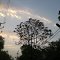 Before Rain