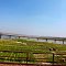 A beautiful view from Railway Bridge