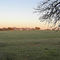 Texas Country