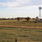 Texas Country