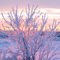 Winter sunrise
