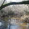 Village Creek-Big Thicket Preserve