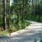 Sundew Nature Trail, Big Thicket National Preserve