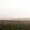 Small Farm Hills With Fog