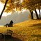 The days are growing shorter, enjoy the autumn time!