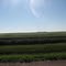 Dilworth, "it's flat out there."