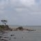 aransas wildlife rufuge