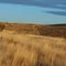Fence line pastures