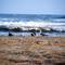Mustang Island