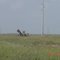 Mustang Island State Park Texas 2