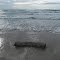 Padre Island Beach
