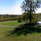 Bombarito winery
