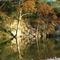 Garner State Park (Frio River) 2