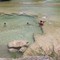 Swimming hole on the Rio Frio