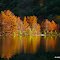 Reflections of Autumn