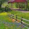 Covered bridge and wildflowers in Texas