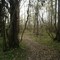 Bird Watchers Trail